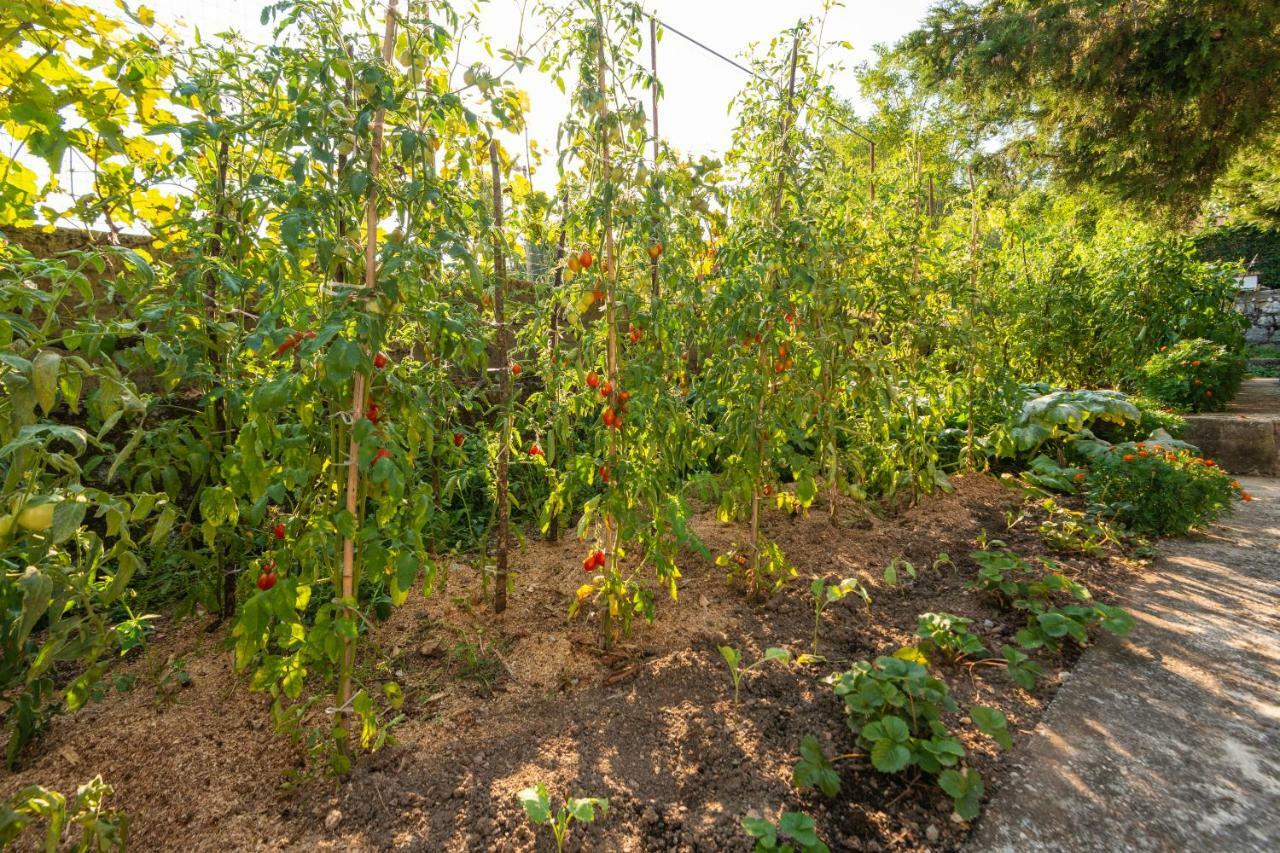 Honey Farm House Virpazar Zewnętrze zdjęcie